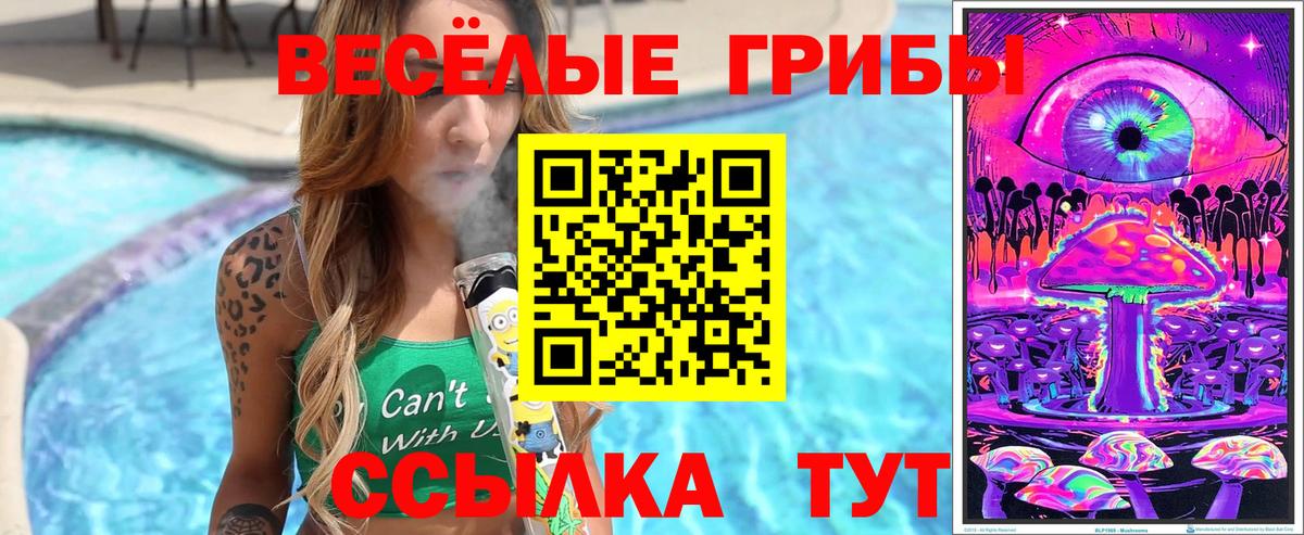 Зеленокумск  Псилоцибиновые грибы GOLDEN TEACHER  Вход с VPN 